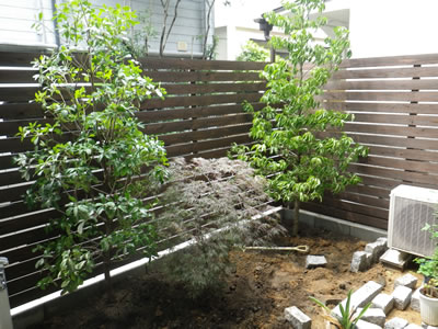 6月 11 ガーデニング 小さな庭造り Diyのお手伝いなら大阪 グリーンテック