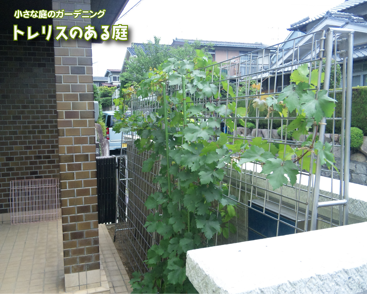 トレリスのある庭