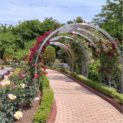 過去ギャラリー　清谷池公園