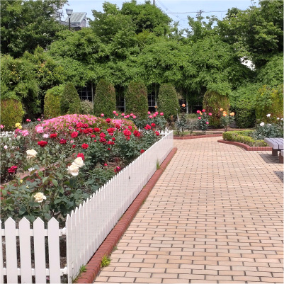 過去ギャラリー　清谷池公園