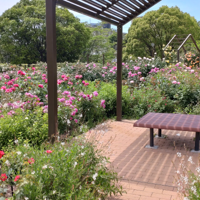 過去ギャラリー　二ノ切池公園