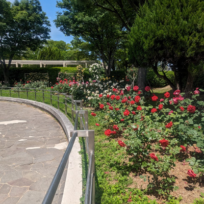過去ギャラリー　豊島公園