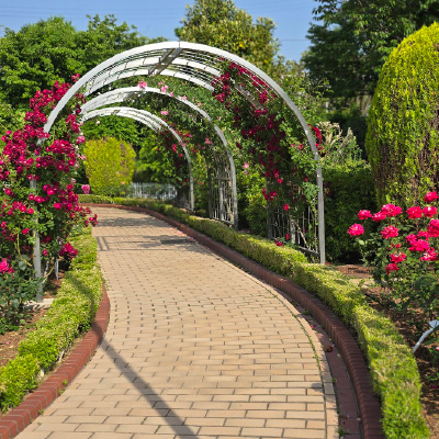 過去ギャラリー　清谷池公園