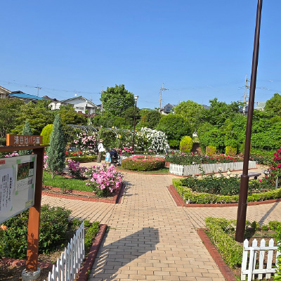 過去ギャラリー　清谷池公園