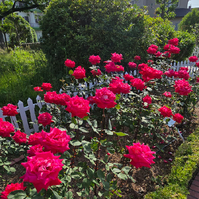 過去ギャラリー　清谷池公園