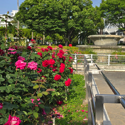 過去ギャラリー　豊島公園