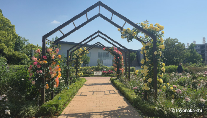 二ノ切池公園 バラ園