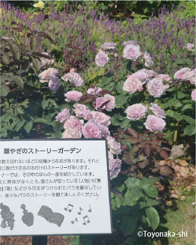 二ノ切池公園 バラ園